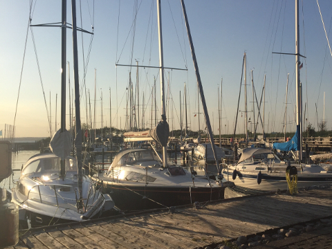 Seegelboote am Niendorfer Hafen